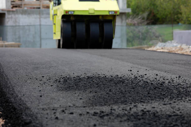 Best Local Driveway Pavers  in Crookston, MN