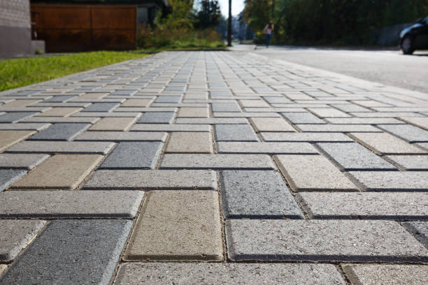 Best Driveway Paving Company  in Crookston, MN