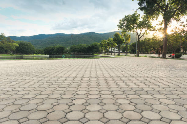 Best Driveway Pavers Near Me  in Crookston, MN