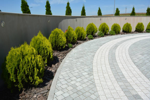 Reasons to Select Us for Your Driveway Paving Requirements in Crookston, MN