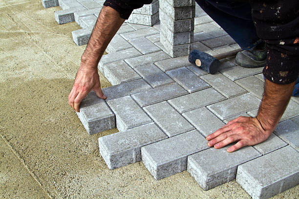 Best Driveway Paving Contractor  in Crookston, MN